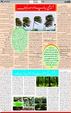 5th page
