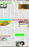 7th page