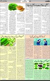 7th page