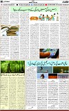 6th page