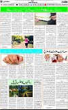 7th page