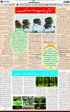 5th page