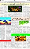 7th page