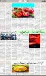 7th page
