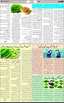 7th page