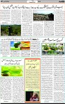 7th page