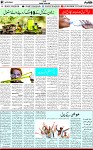 7th page