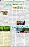 6th page