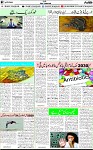 7th page